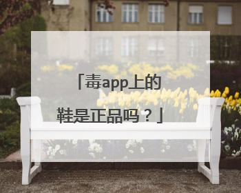 毒app上的鞋是正品吗?