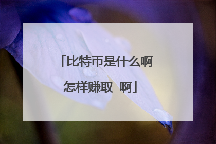 比特币是什么啊怎样赚取 啊