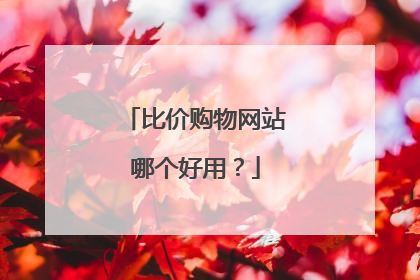 比价购物网站哪个好用？
