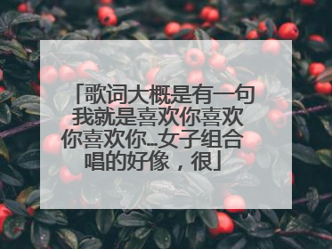 歌词大概是有一句 我就是喜欢你喜欢你喜欢你…女子组合唱的好像,很