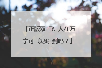 正版双‌飞‌人在万‌宁可‌以买‌到吗？