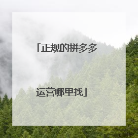 正规的拼多多运营哪里找