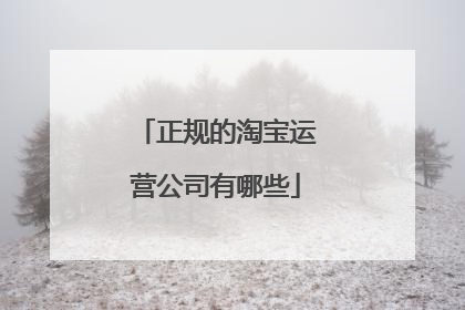 正规的淘宝运营公司有哪些