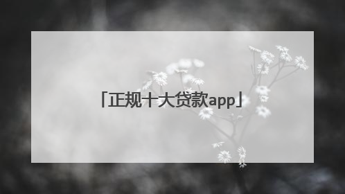 正规十大贷款app