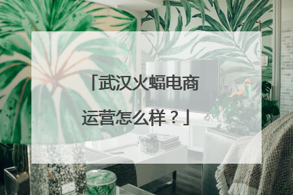 武汉火蝠电商运营怎么样?