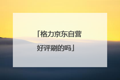 格力京东自营好评刷的吗