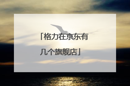 格力在京东有几个旗舰店