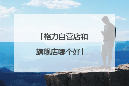 格力自营店和旗舰店哪个好