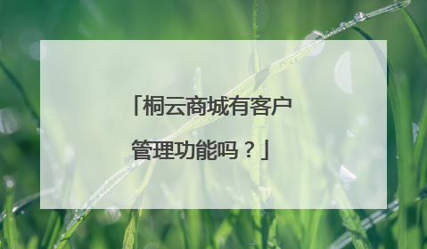 桐云商城有客户管理功能吗?