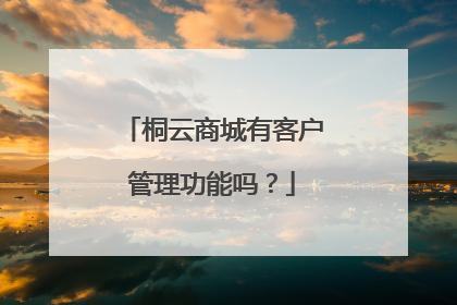 桐云商城有客户管理功能吗?