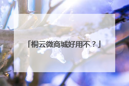桐云微商城好用不?