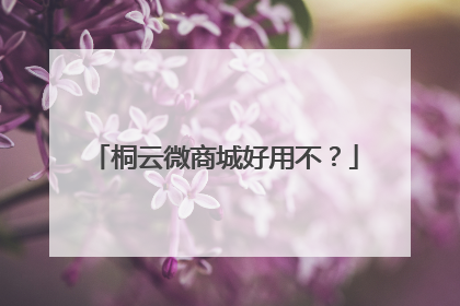 桐云微商城好用不?