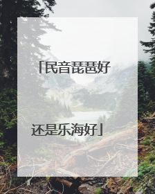 民音琵琶好还是乐海好