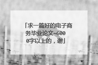 求一篇好的电子商务毕业论文~6000字以上的,谢