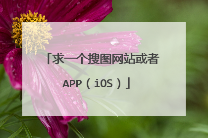 求一个搜图网站或者APP(iOS)