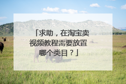 求助，在淘宝卖视频教程需要放置哪个类目？