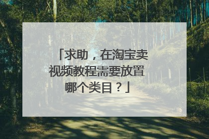 求助,在淘宝卖视频教程需要放置哪个类目?