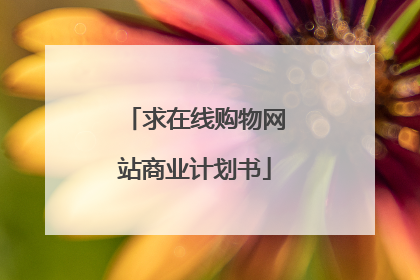 求在线购物网站商业计划书