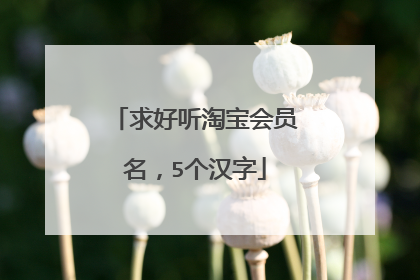 求好听淘宝会员名,5个汉字