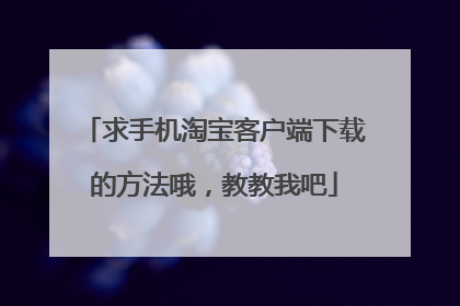 求手机淘宝客户端下载的方法哦,教教我吧