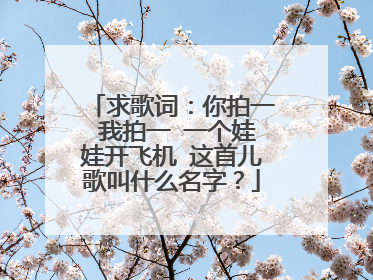 求歌词:你拍一 我拍一 一个娃娃开飞机 这首儿歌叫什么名字?