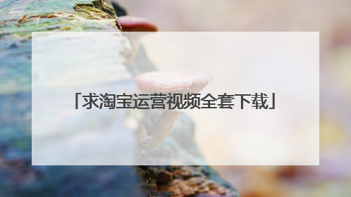 求淘宝运营视频全套下载