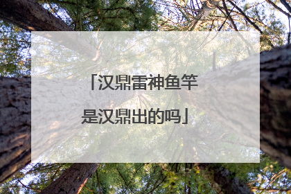 汉鼎雷神鱼竿是汉鼎出的吗