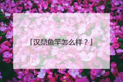 汉鼎鱼竿怎么样?