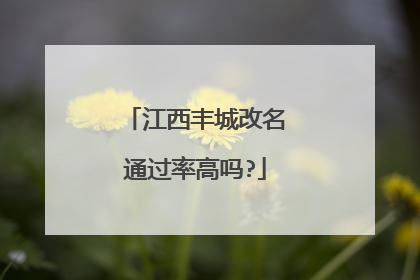 江西丰城改名通过率高吗?