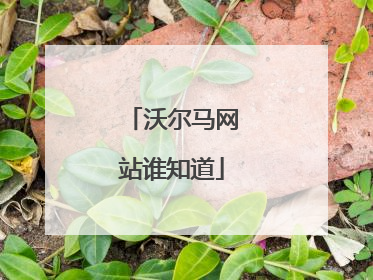 沃尔马网站谁知道