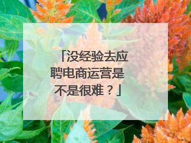 没经验去应聘电商运营是不是很难?