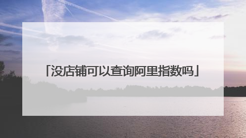 没店铺可以查询阿里指数吗