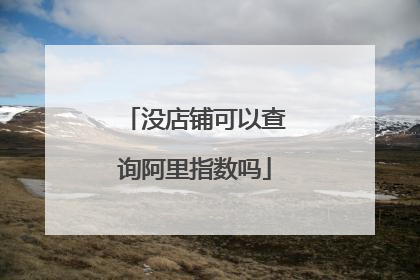 没店铺可以查询阿里指数吗