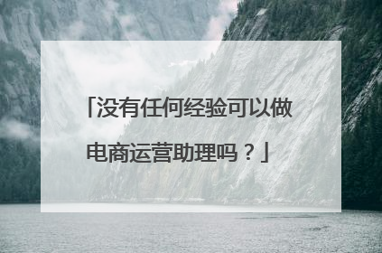 没有任何经验可以做电商运营助理吗?