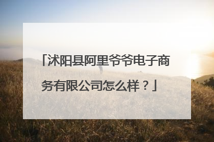 沭阳县阿里爷爷电子商务有限公司怎么样?