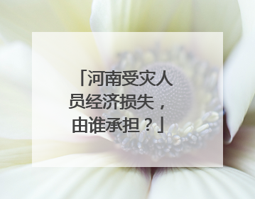 河南受灾人员经济损失,由谁承担?