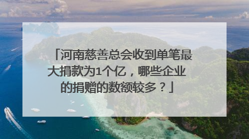 河南慈善总会收到单笔最大捐款为1个亿,哪些企业的捐赠的数额较多?