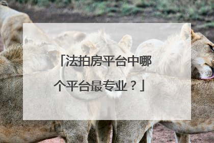 法拍房平台中哪个平台最专业?