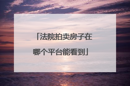 法院拍卖房子在哪个平台能看到
