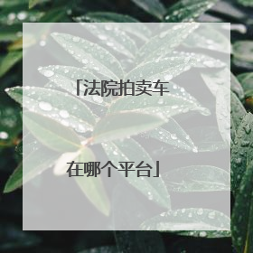 法院拍卖车在哪个平台