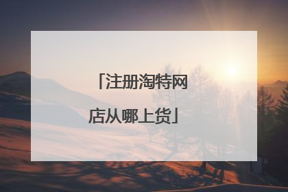 注册淘特网店从哪上货