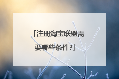 注册淘宝联盟需要哪些条件?