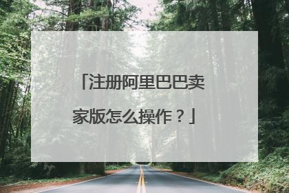 注册阿里巴巴卖家版怎么操作?