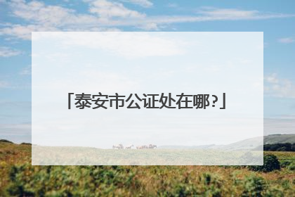 泰安市公证处在哪?