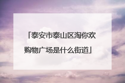 泰安市泰山区淘你欢购物广场是什么街道