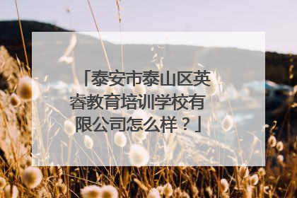 泰安市泰山区英睿教育培训学校有限公司怎么样?