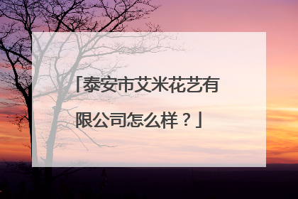 泰安市艾米花艺有限公司怎么样?