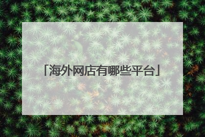 海外网店有哪些平台