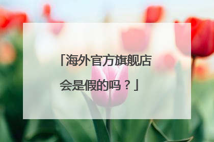 海外官方旗舰店会是假的吗?