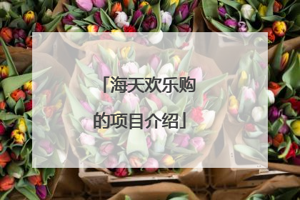 海天欢乐购的项目介绍
